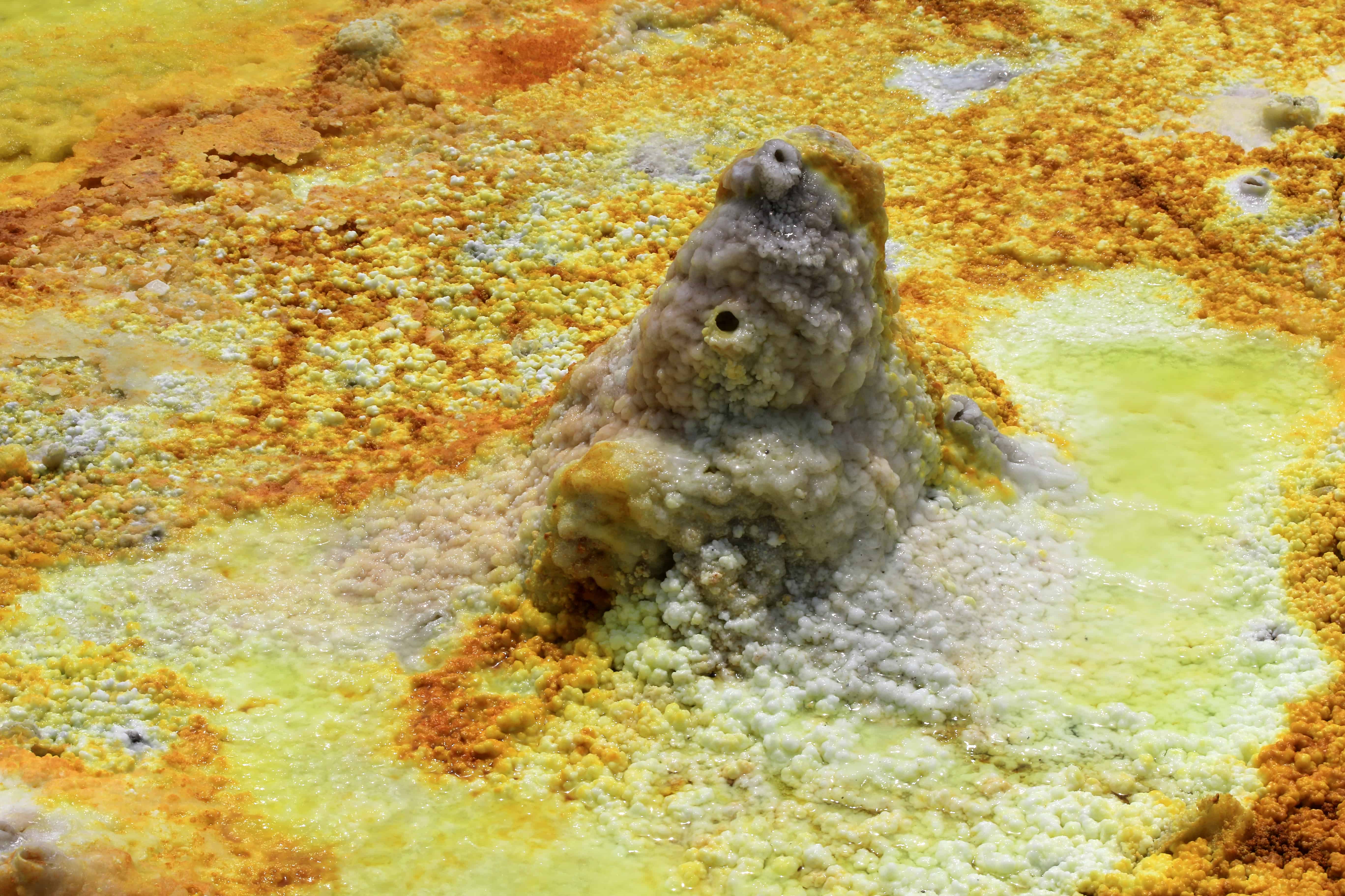 Discover the Highlights